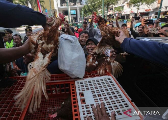 Aksi Damai di DPRD Yogyakarta, Peternak Bagikan Ribuan Ayam untuk Suarakan Krisis Pakan