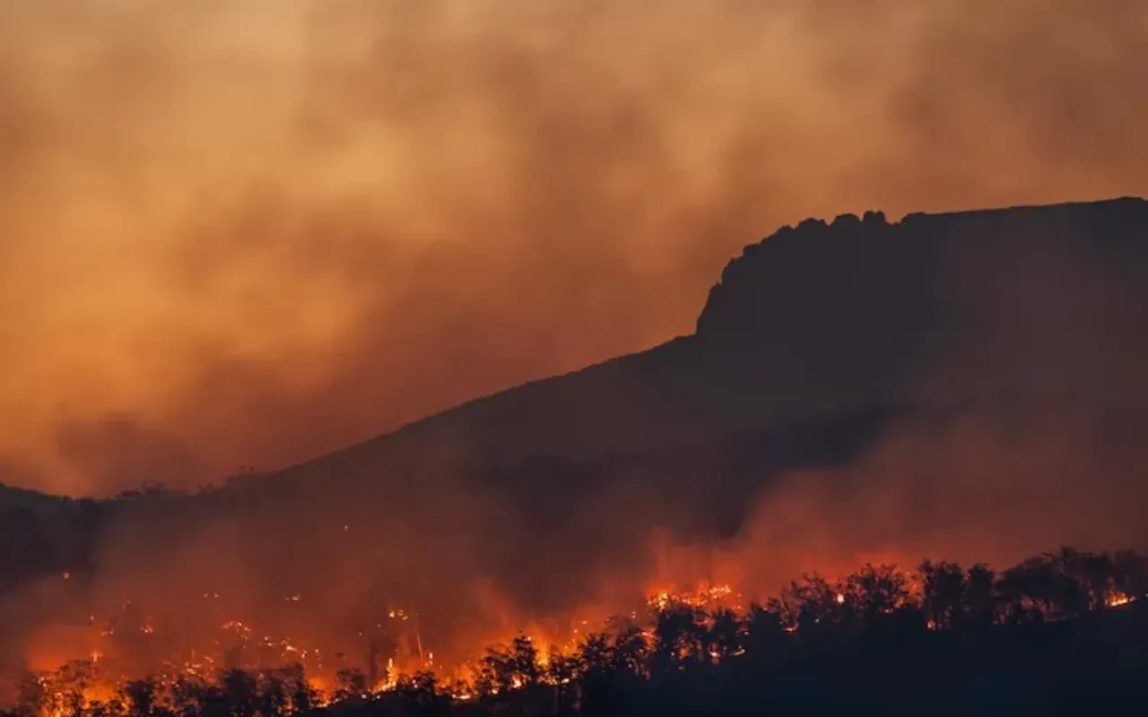 Cagar Alam Merapi Ungup-Ungup Terbakar, Petugas Mobilisasi Tim Pemadam