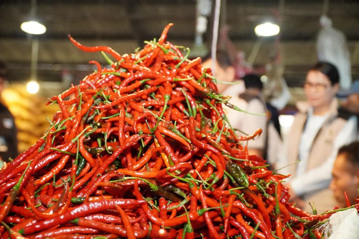 Harga Pangan Kamis 3 September 2026, Cabai Rawit Tembus Rp82.700 per Kg