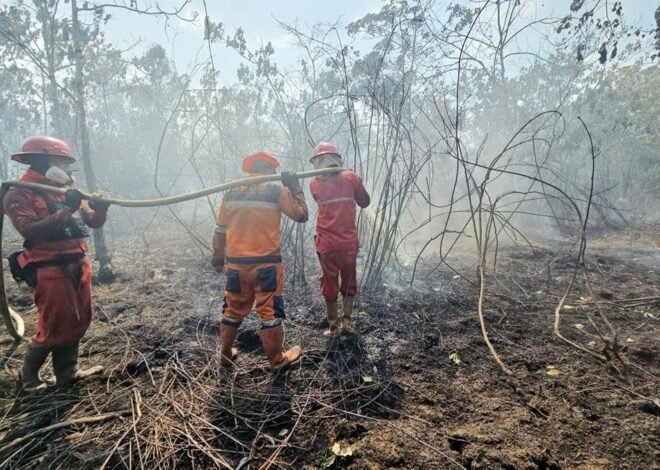 Karhutla Sumsel Belum Padam, BNPB Kerahkan 4 Helikopter Water Bombing