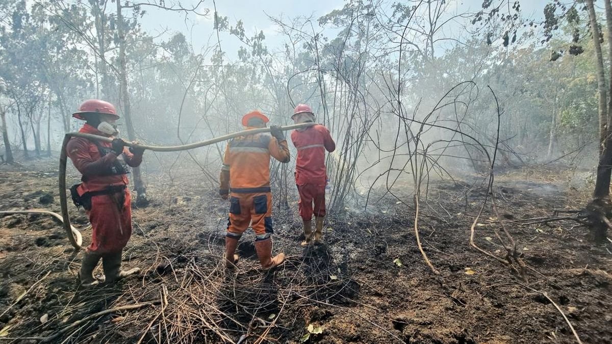 Karhutla Sumsel Belum Padam, BNPB Kerahkan 4 Helikopter Water Bombing