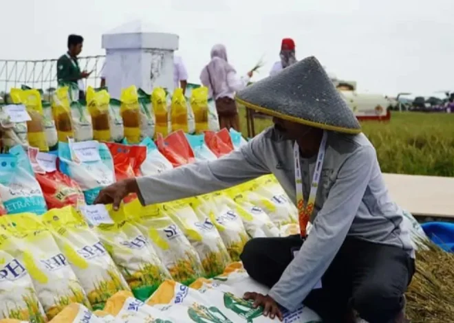 Bulog Libatkan 868 Penggilingan untuk Kejar Penyaluran 300 Ribu Ton Beras Premium