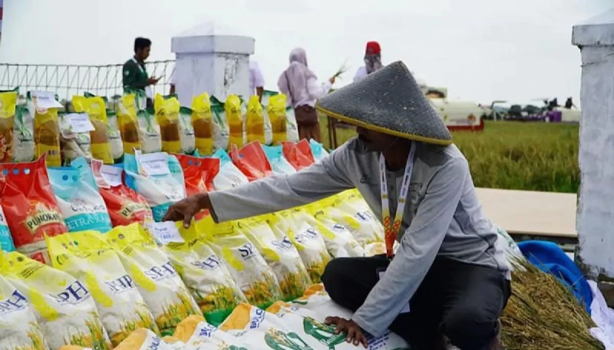Bulog Libatkan 868 Penggilingan untuk Kejar Penyaluran 300 Ribu Ton Beras Premium