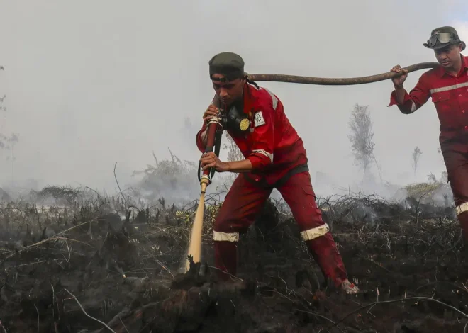 Kalteng Catat 1.135 Titik Panas, Kemenhut Kerahkan 61 Armada Udara Tangani Karhutla