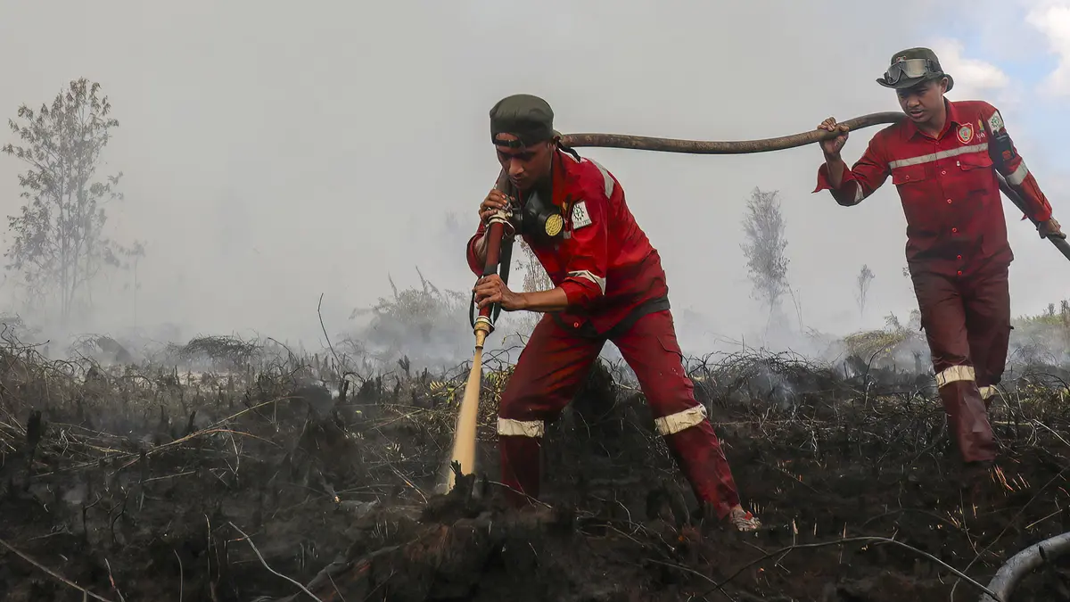 Kalteng Catat 1.135 Titik Panas, Kemenhut Kerahkan 61 Armada Udara Tangani Karhutla