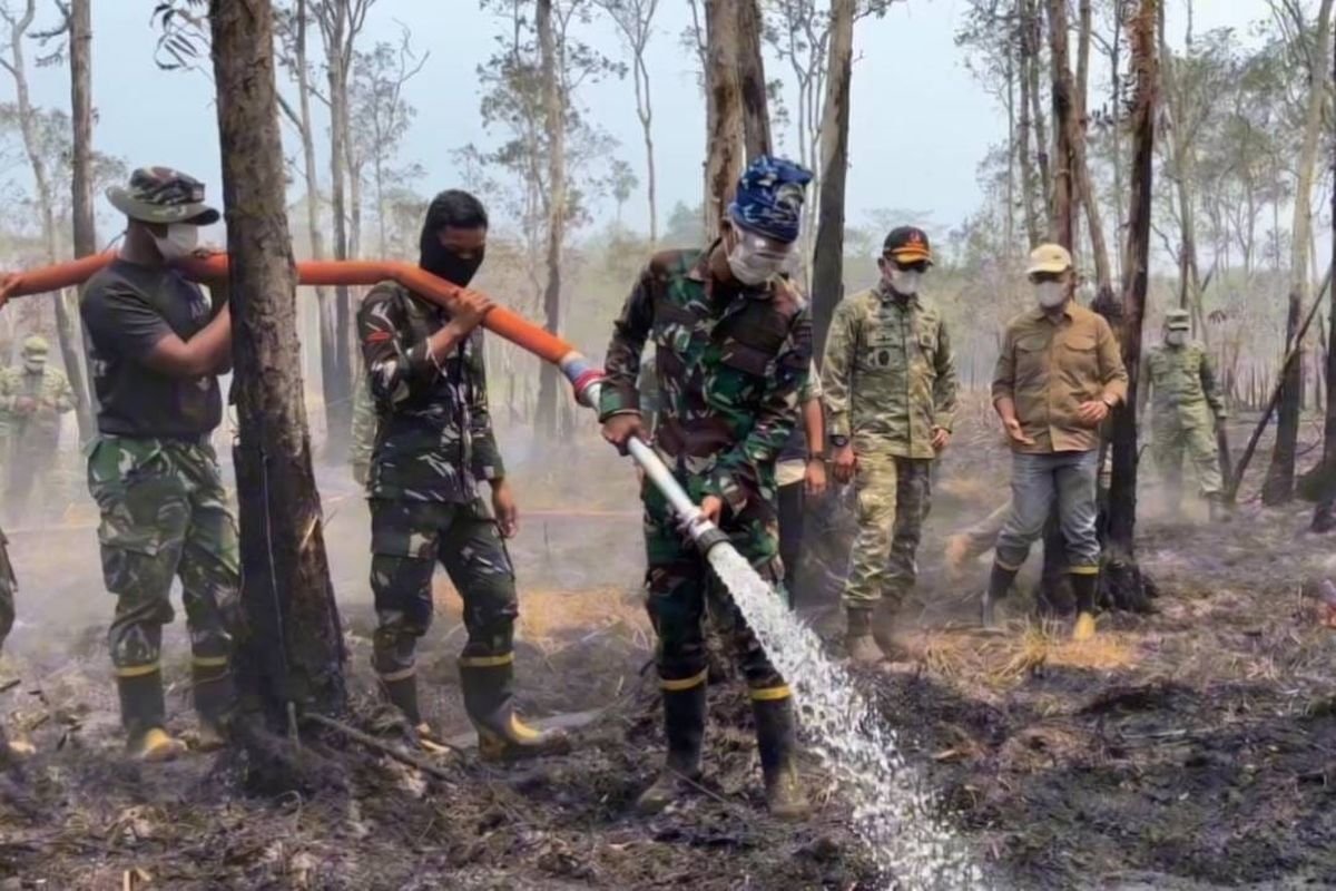 BPBD Lampung Pastikan Karhutla Way Kambas Padam, Pemantauan Tetap Berlanjut