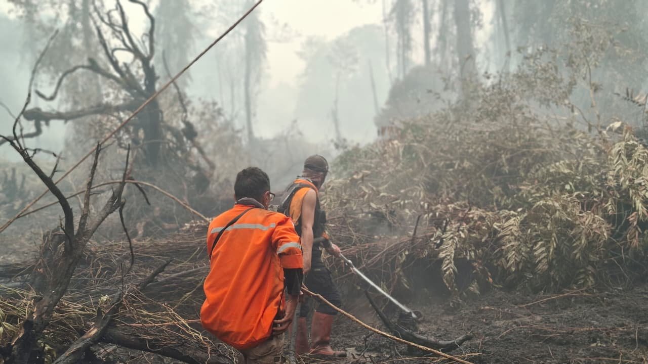 Polda Kalteng Usut Karhutla, Periksa Asal Api dan Kepatuhan Perusahaan