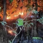 Kebakaran Lahan 1 Hektare di Kebumen Berhasil Dipadamkan Tim Gabungan
