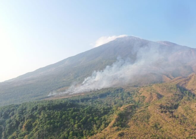 Karhutla Gunung Ciremai Masih Berlangsung, Petugas dan Warga Berupaya Cegah Api Meluas