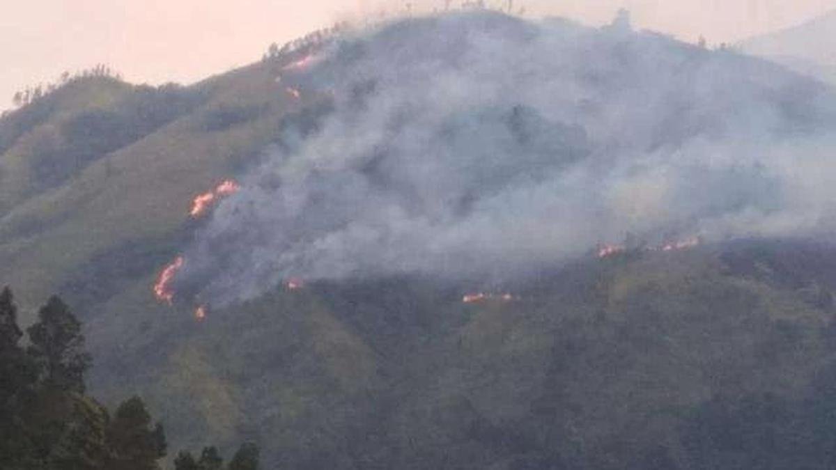 Api Kebakaran Gunung Arjuno-Ringgit Bergerak ke Singosari, Jarak ke Permukiman 2–3 Km