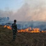 Karhutla Kembali Terjadi di Sidrap, Lebih dari Satu Hektare Lahan Terbakar