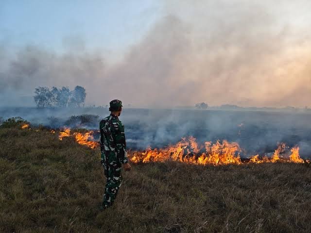 Karhutla Kembali Terjadi di Sidrap, Lebih dari Satu Hektare Lahan Terbakar