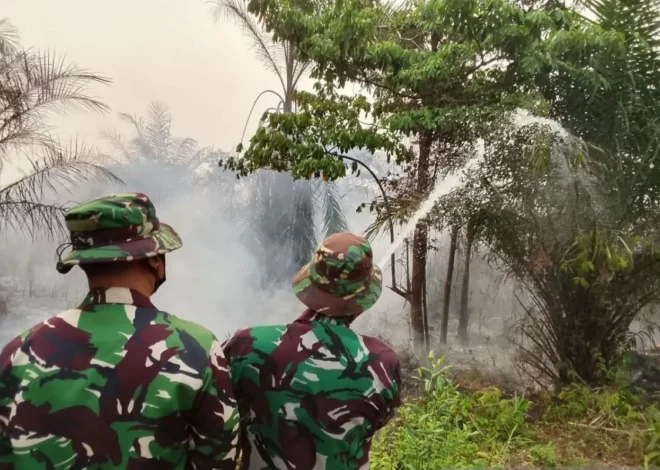 TNI AU dan Satgas Gabungan Tangani Kebakaran Lahan di Kabupaten Banjar
