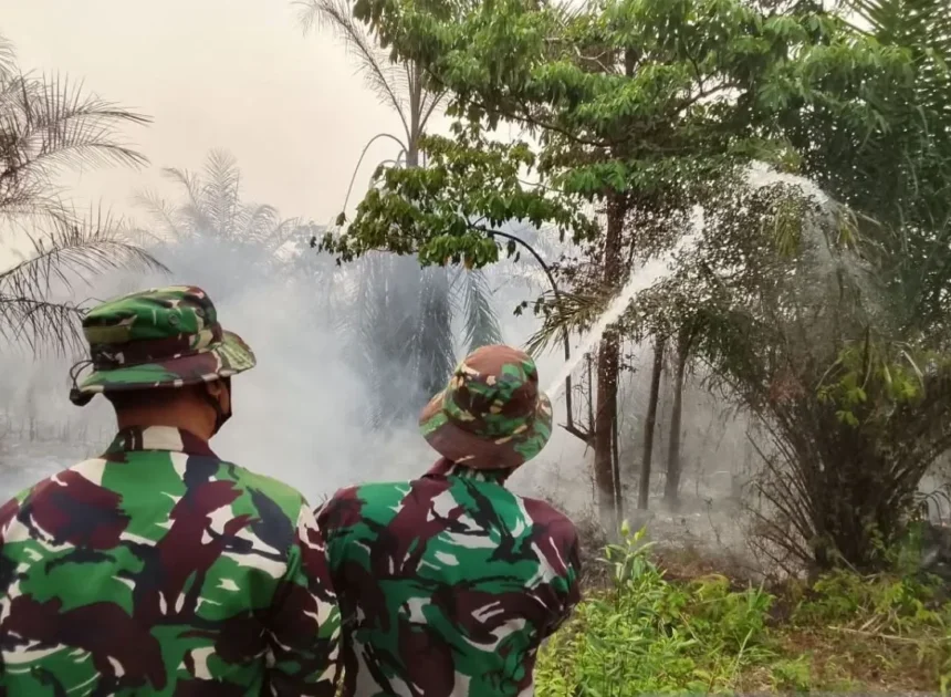 TNI AU dan Satgas Gabungan Tangani Kebakaran Lahan di Kabupaten Banjar