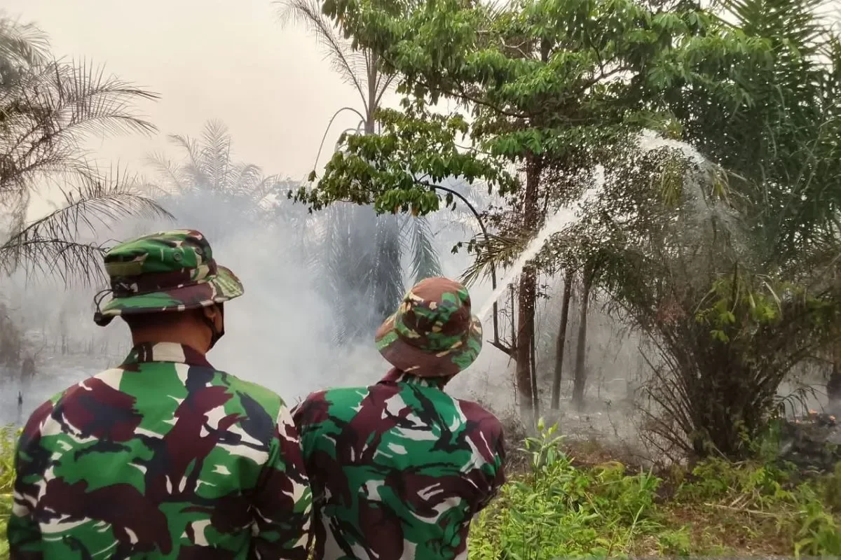 TNI AU dan Satgas Gabungan Tangani Kebakaran Lahan di Kabupaten Banjar