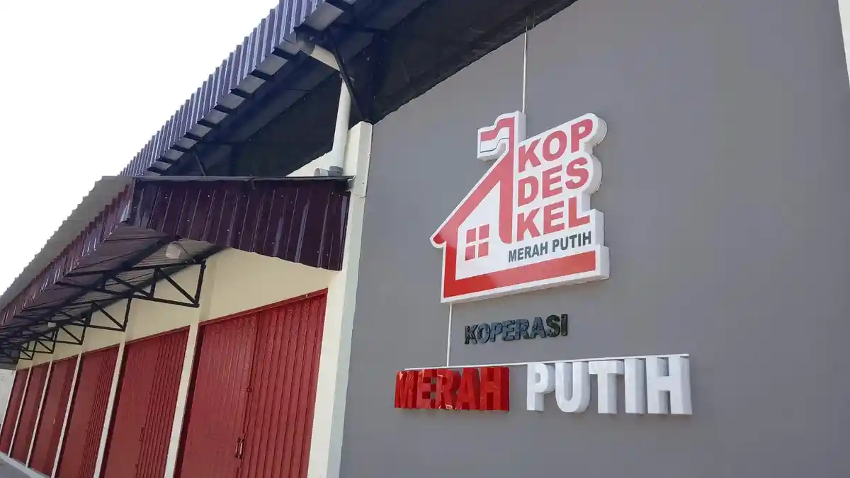 Koperasi Desa Jadi Ujung Tombak Distribusi Barang Subsidi, Ini Skema Penyaluran LPG hingga Pupuk