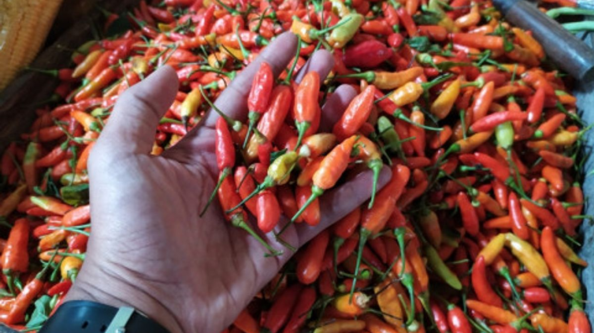 Harga Pangan Kamis 8 Oktober 2026: Cabai Rawit Merah Naik, Daging Sapi Turun
