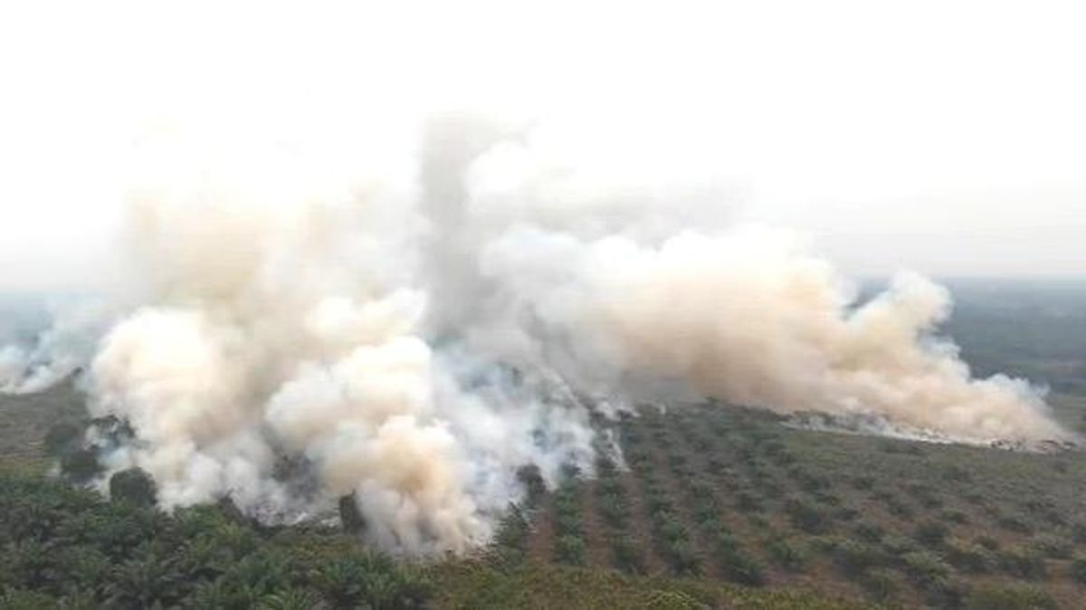 BNPB Percepat Pemadaman Karhutla, 570 Hektare Lahan Masih Ditangani