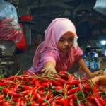 Harga Pangan Nasional 22 Oktober 2026: Cabai Rawit Merah Rp110.950, Daging Sapi Rp152.200 per Kg